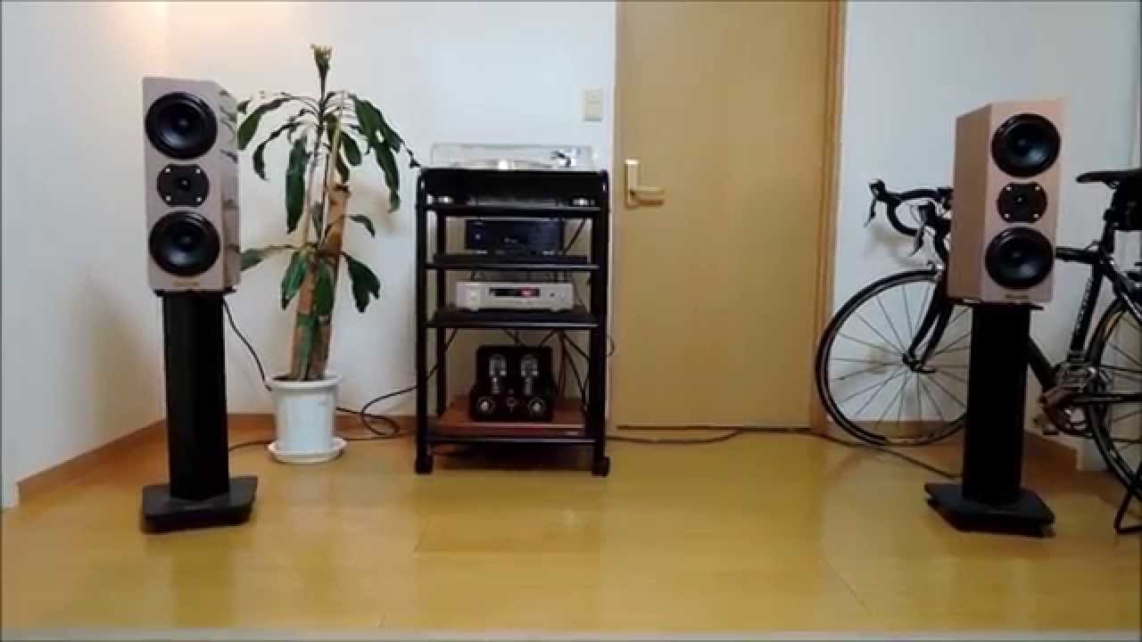 Ampli Unison Research Simply Italy an tuong