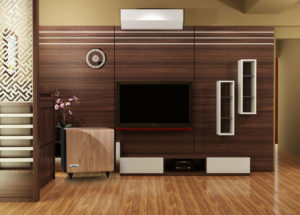 Dòng loa Tannoy TS2 – Những mẫu loa siêu trầm mạnh mẽ mang thương hiệu Tannoy