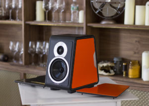 Loa Sonus Faber Chameleon B – Bước ngoặt đáng nhớ của thương hiệu Sonus Faber
