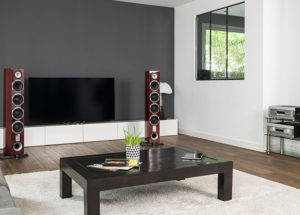 Dòng sản phẩm loa Triangle Magellan series-những mẫu loa xứng tầm Hi-end