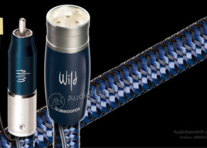Dây tín hiệu AudioQuest Wild Dog – Những kết nối chính xác
