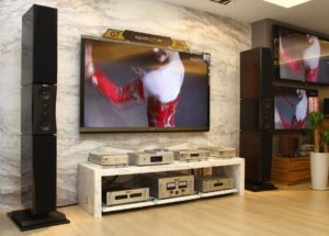 Cặp loa Dynaudio Evidence Platinum đẳng cấp Hiend