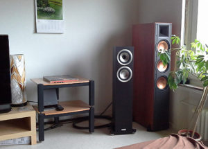 Loa nghe nhạc hay Tannoy Precision 6.2