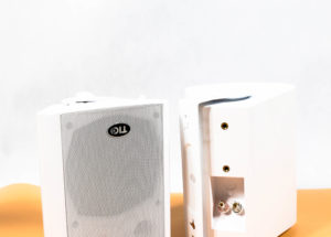 Loa TIC PAT5 thiết kế mới, chất âm ấn tượng