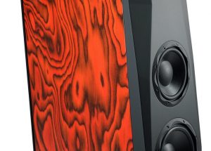 Điều gì tạo nên sức hấp dẫn cho cặp loa Alare Remiga 2 cao cấp?