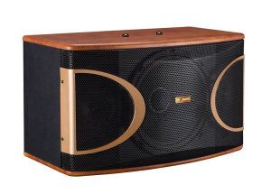 Phối ghép ampli karaoke Berase Pro-450 và loa karaoke PA Audio MK-210 – Giải pháp âm thanh karaoke chuyên nghiệp