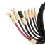 Dây audio McIntosh – Dây dẫn của những hệ thống ở đỉnh cao