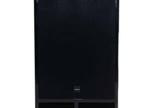 Loa Subwoofer karaoke PA Audio XB12B – Đủ lực cho mọi cuộc chơi